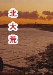 国产精品视频全国免费观看